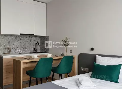 Студия Санкт-Петербург дор. На Турухтанные острова, 5к1 (25.0 м)