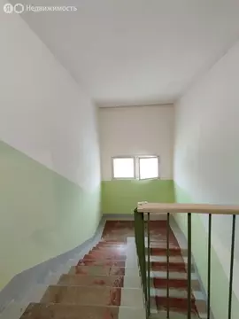 2-комнатная квартира: Пермь, улица Трясолобова, 69 (47 м)