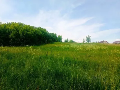 Участок в Московская область, Коломна городской округ, д. Молитвино  ...