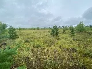 Участок в Забайкальский край, Дульдургинский район, с. Западный Узон  ...