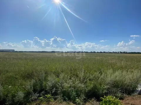 Участок в Тамбовская область, Тамбовский муниципальный округ, д. ...