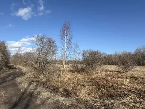 Участок в Ленинградская область, Приозерский район, Ромашкинское с/пос ...