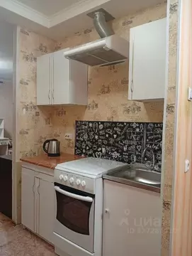 Студия Санкт-Петербург просп. Науки, 79к3 (28.0 м)