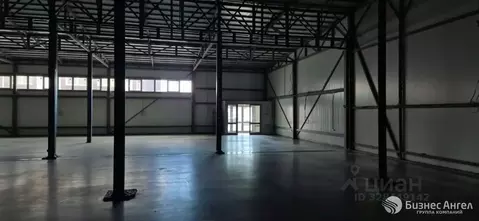 Помещение свободного назначения в Санкт-Петербург ул. Земская, 65 (300 ...