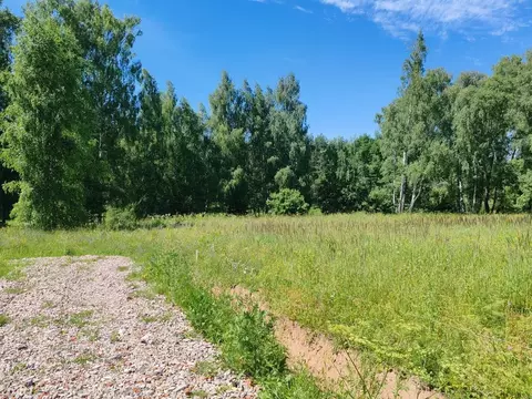 Участок в Московская область, Раменский муниципальный округ, ...