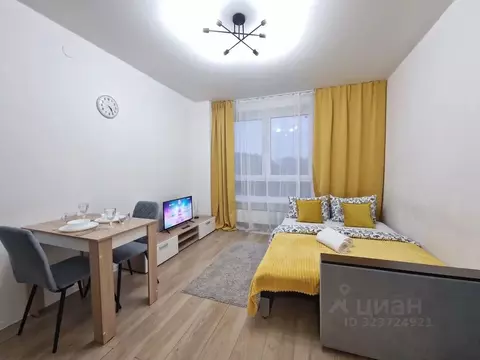 Студия Москва ул. Поляны, 5Ак5 (22.0 м)