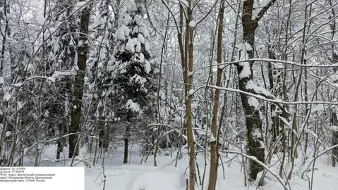Участок в Московская область, Дмитровский муниципальный округ, Икша ...