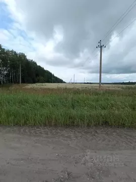 Участок в Брянская область, Жуковка Краснослободская ул. (3190.0 сот.)