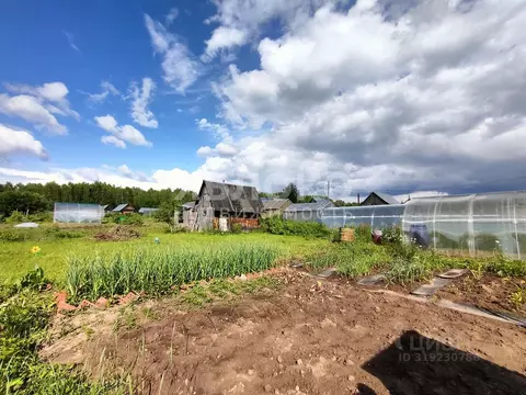 Дом в Пермский край, Березники № 61 СНТ, 42 (25 м)