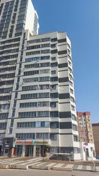 1-к кв. Воронежская область, Воронеж ул. 9 Января, 233/40 (41.1 м)