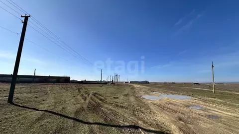 Участок в Крым, Черноморский район, Оленевское с/пос, с. Калиновка ул. ...