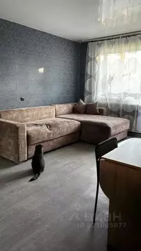 1-к кв. Свердловская область, Екатеринбург ул. Красина, 7 (36.7 м)