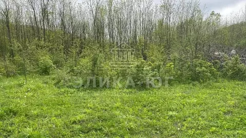 Участок в Краснодарский край, Туапсинский муниципальный округ, Джубга ...