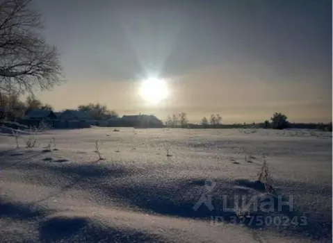 Участок в Московская область, Дмитровский муниципальный округ, с. ...