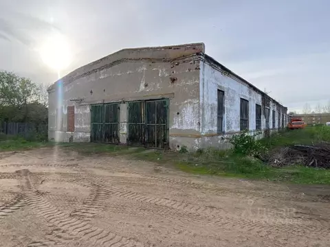 Помещение свободного назначения в Удмуртия, Камбарка Прудовской пер., ...