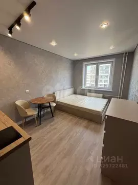 Студия Пермский край, Пермь Целинная ул., 59к1 (22.2 м)