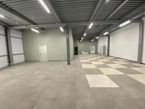 Помещение свободного назначения в Владимирская область, Владимир ул. ...