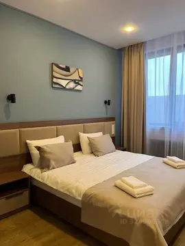 Студия Санкт-Петербург Песочная наб., 42к2 (28.0 м)