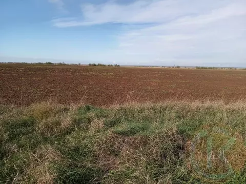 Участок в Крым, Раздольненский район, Новоселовское пгт  (970.0 сот.)