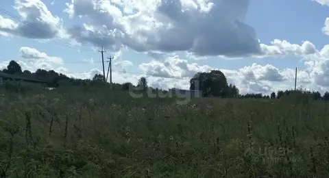 Участок в Калужская область, Жуковский муниципальный округ, д. Папино  ...