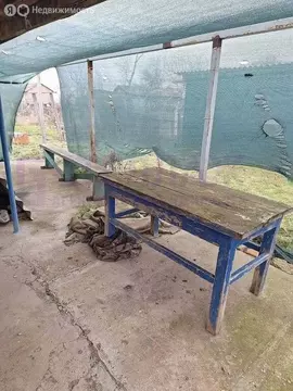 Дом в Чапаевское сельское поселение, село Николаевка, улица Ленина ...