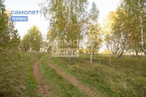 Участок в Челябинская область, Сосновский муниципальный округ, с. ...