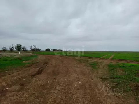 Участок в Крым, Сакский район, с. Уютное, Уютная Гавань мкр  (876.76 ...