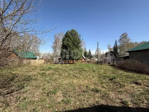 Участок в Новосибирская область, Новосибирский район, Барышевский ...