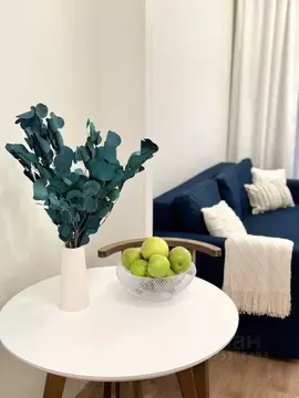 Студия Санкт-Петербург просп. Малый Васильевского острова, 52 (23.9 м)