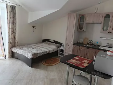 Студия Севастополь ул. Челюскинцев, 57/2 (27.0 м)