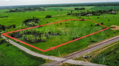 Участок в Калининградская область, Правдинский муниципальный округ, ...