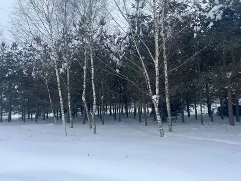 Участок, 11 сот., поселения (ижс)