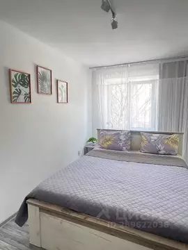 2-к кв. Калининградская область, Калининград ул. Генерала Галицкого, ...