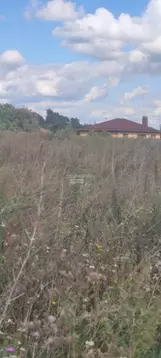 Участок в Воронежская область, Рамонский район, Новоживотинновское ...