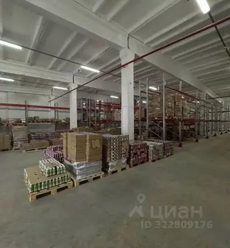 Склад в Санкт-Петербург просп. Непокоренных, 63И (657 м)