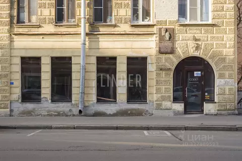 Помещение свободного назначения в Санкт-Петербург ул. Мира, 6 (142 м)