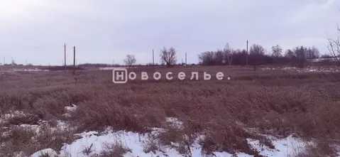 Участок в Рязанская область, Захаровский район, Плахинское с/пос, с. ...