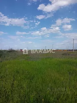 Участок в Саратовская область, Балаковский район, с. Натальино ул. ...