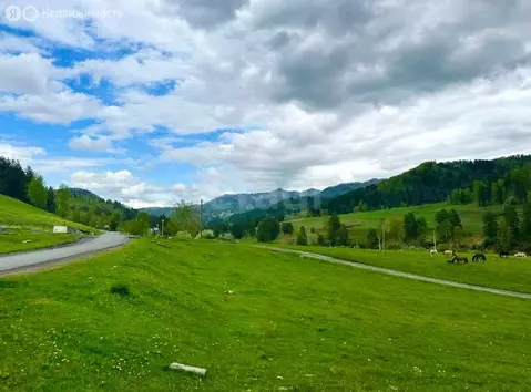 Участок в Чемальский район, Узнезинское сельское поселение, село ...