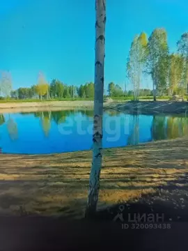 Участок в Тюменская область, Нижнетавдинский район, Тюневское с/пос, 7 ...