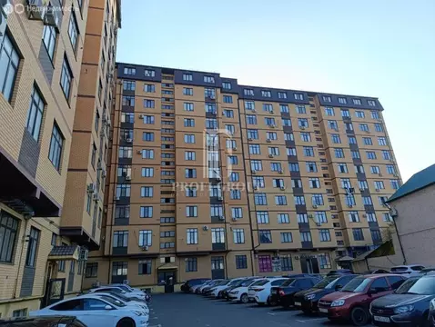 1-комнатная квартира: Махачкала, проспект Петра I, 14 (50.8 м)