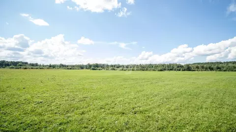 Участок в Томская область, Томский район, Журавли кп  (15.0 сот.)