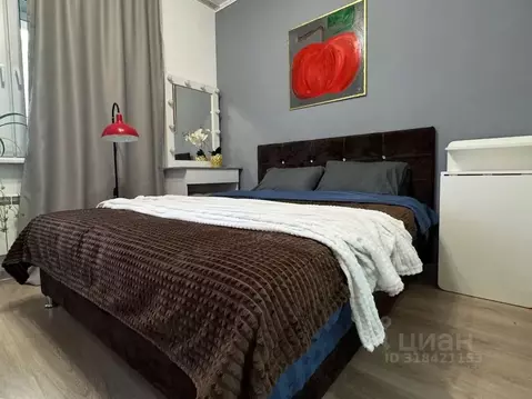 Студия Московская область, Ногинск Богородский городской округ, ул. ...