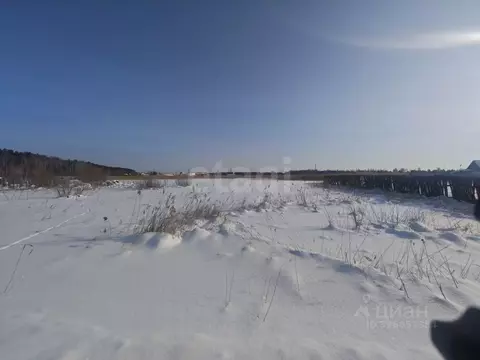 Участок в Курганская область, Курган Сады Зауралья СТ,  (5.55 сот.)