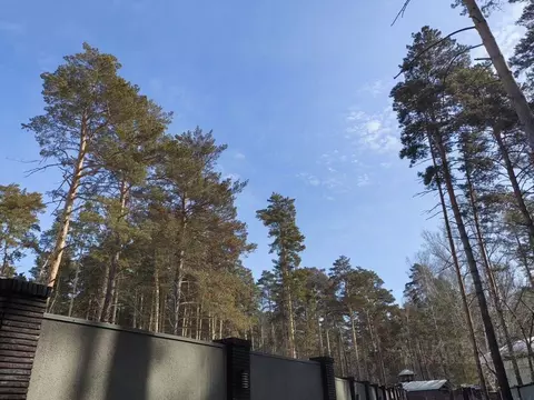 Участок в Новосибирская область, Новосибирск ул. Обские зори (60.0 ...