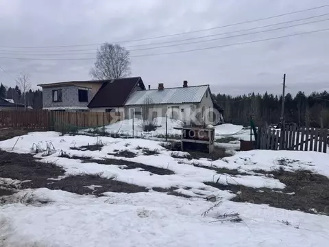 Дом в Пермский край, Березники ул. Механизаторов, 8 (47 м)