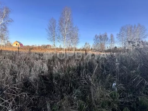 Участок в Тюменская область, Нижнетавдинский район, Виктория ТСН ул. ...