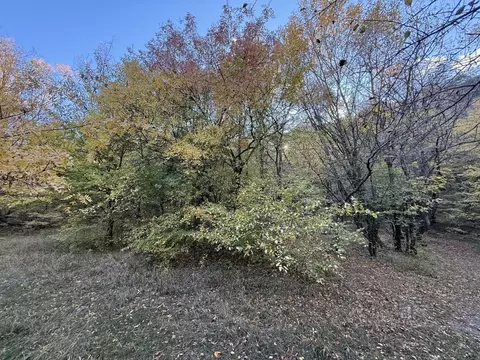 Участок в Крым, Ялта ул. Кирова (30.0 сот.)