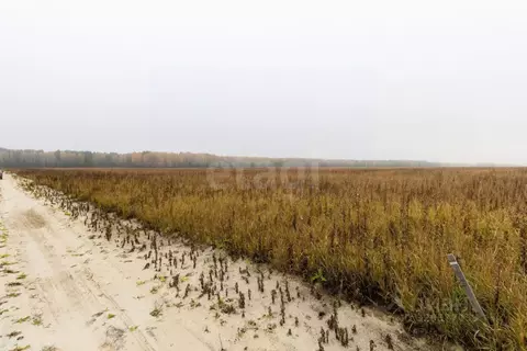 Участок в Тюменская область, Тюменский муниципальный округ, Новый кп  ...