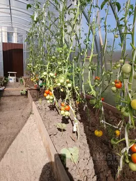 Дом в Чувашия, Чебоксары городской округ, д. Чандрово ул. Чандровская, ...